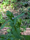 PXL_20260513_031341978