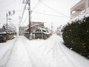 DSCN2083