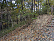 PXL_20251117_234149713