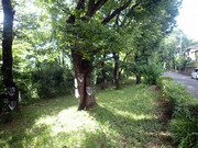 P6260067