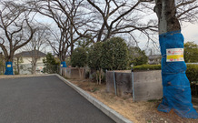 PXL_20260306_072615175