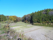 DSC08737