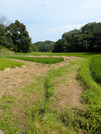 PXL_20260731_051440472