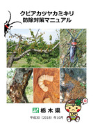 クビアカ（栃木県）_1