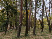 PXL_20251117_235118844