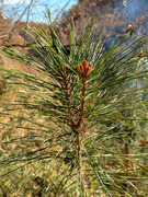 PXL_20251205_014739496