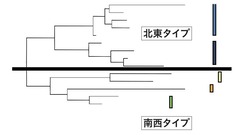 ナラ枯れ被害対策マニュアル図2