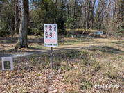 PXL_20260301_035452633