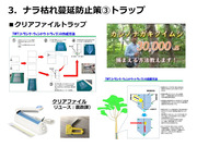 市民の森のナラ枯れと蔓延_19