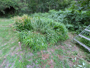 PXL_20260729_085101605
