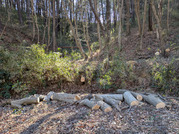 PXL_20260123_020524589