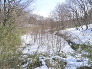 DSC09068