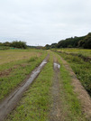 PXL_20260927_050323562