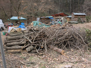 PXL_20260224_020516733