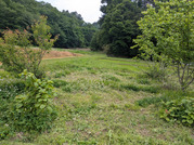 PXL_20260508_040251450