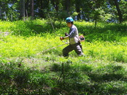 DSC00774