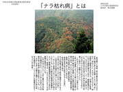 小平市緑化推進委員会資料_01