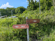 PXL_20260511_055221456