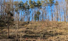 PXL_20260201_053000936