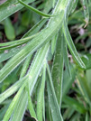 PXL_20260729_082308961