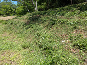 PXL_20260510_022048832