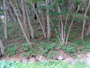 DSC01178