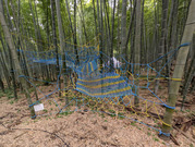 PXL_20260610_031536918