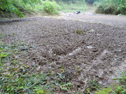 DSC09793