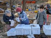 PXL_20251219_034618865