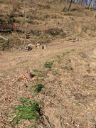 PXL_20260221_043500005