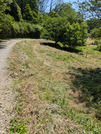 PXL_20260513_021438521