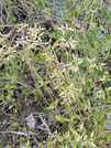PXL_20260419_072531875