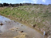 img-210225180239-0006