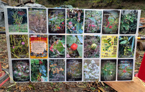 PXL_20251113_030743639