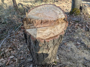 PXL_20260111_020247222