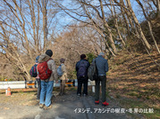 PXL_20260301_010755199