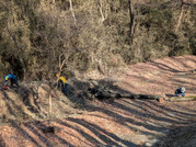 PXL_20260111_013643928