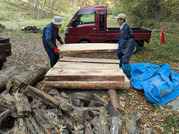 PXL_20251122_234706066