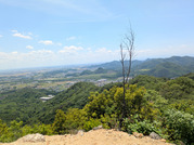 PXL_20260511_030404463