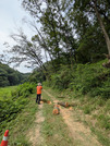 PXL_20260731_013721055