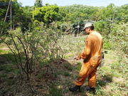 P4290011