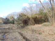 DSCN2629