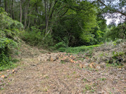 PXL_20260623_061607380