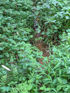 PXL_20260710_073509005