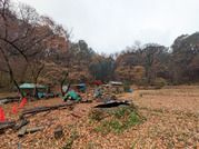 PXL_20251214_034802750