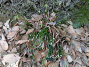 PXL_20260301_042959125