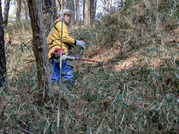 PXL_20260126_030436086