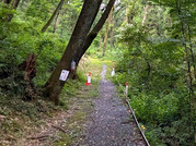 PXL_20250813_213201561