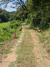 PXL_20260731_023455770