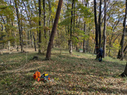 PXL_20251124_010637348